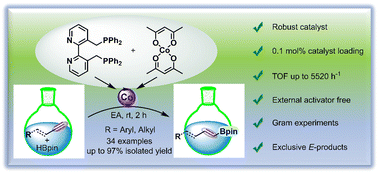Graphical abstract: Efficient and selective external activator-free cobalt catalyst for hydroboration of terminal alkynes enabled by BiPyPhos